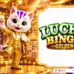 Lucky Bingo themed lucky cat
