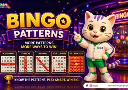 lucky cat on 789Bingo bingo patterns